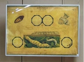 展示資料