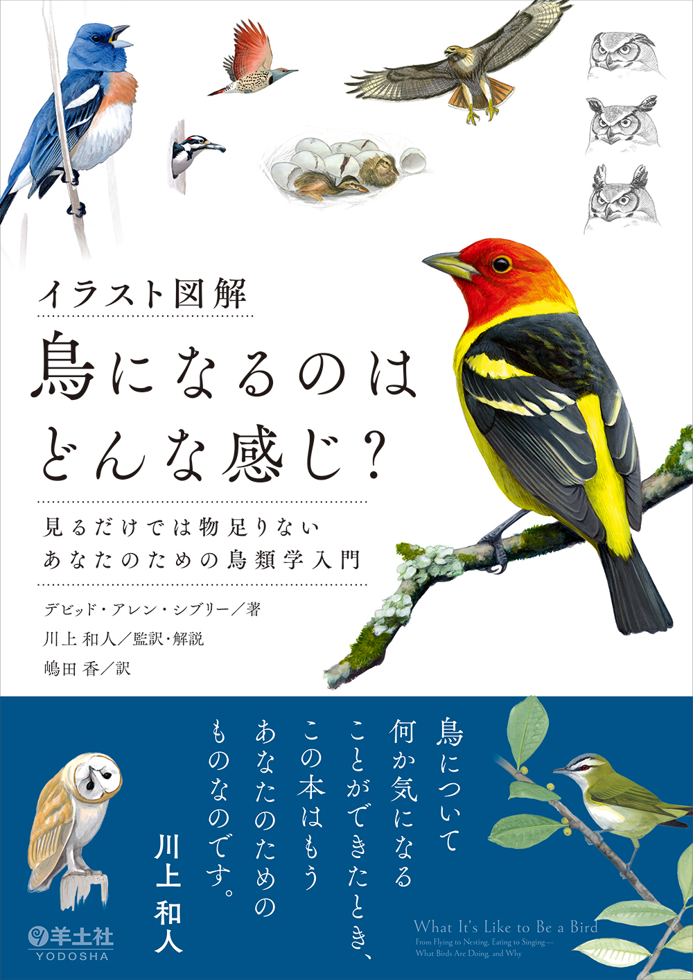 鳥になる表紙_帯付き