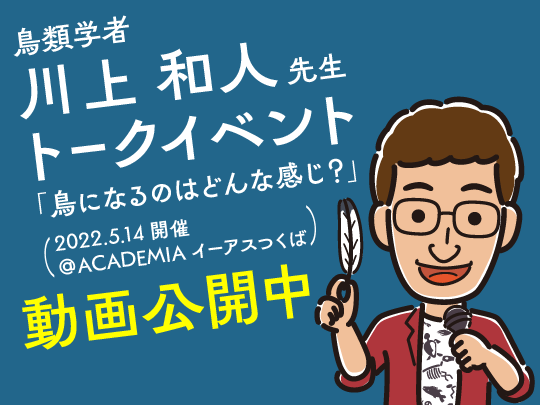 バード川上和人トークイベント公開中