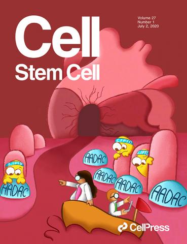 Cell Stem Cell