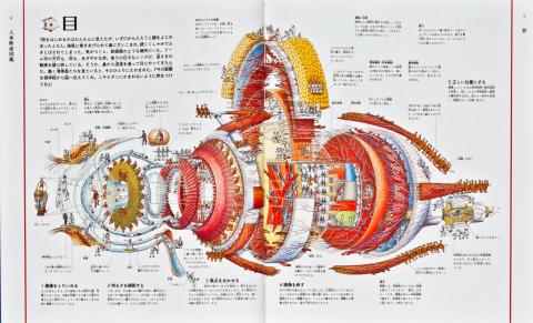 人体断面図鑑　本文見本1