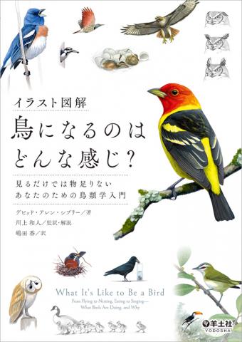 鳥になるのはどんな感じ？表紙画像