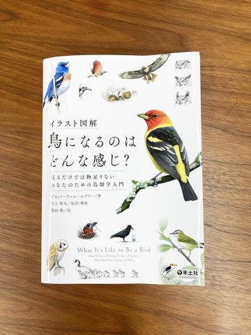 鳥H1_帯なし