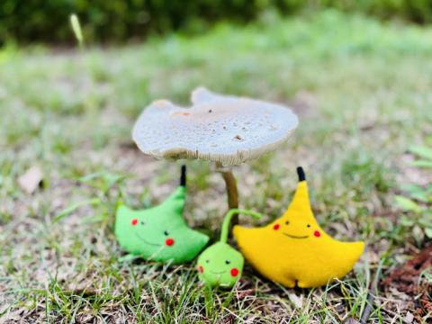 きのこの傘さすししょまろはん